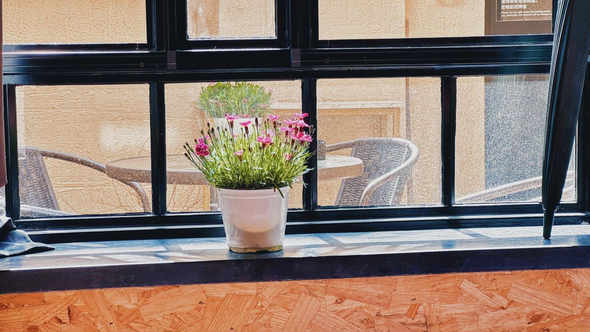 Citywalk With Two Beds And Courtyard Appartement Shanghai
